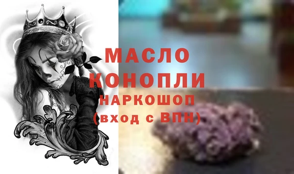 хмурый Няндома