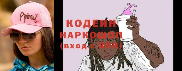 хмурый Няндома