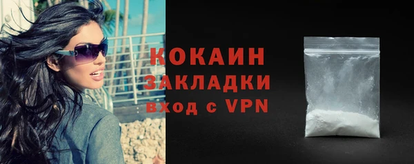 хмурый Няндома