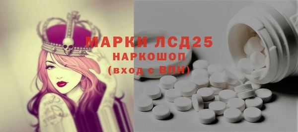 хмурый Няндома