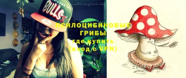 хмурый Няндома