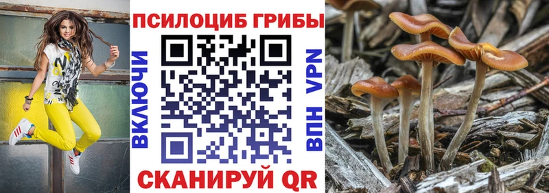 Купить закладки  Мыски  Псилоцибиновые грибы прущие грибы 